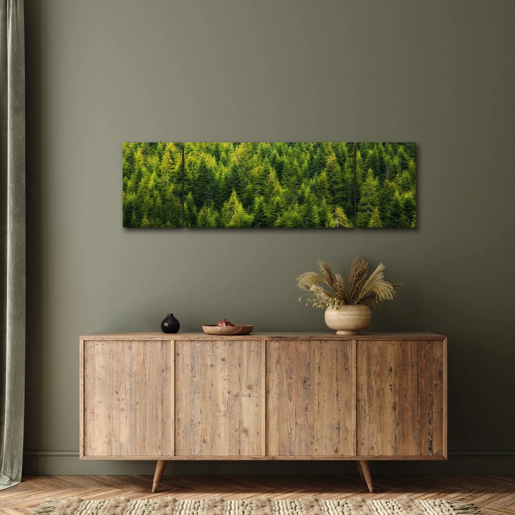 Obraz - Gęsty las (170x50 cm)