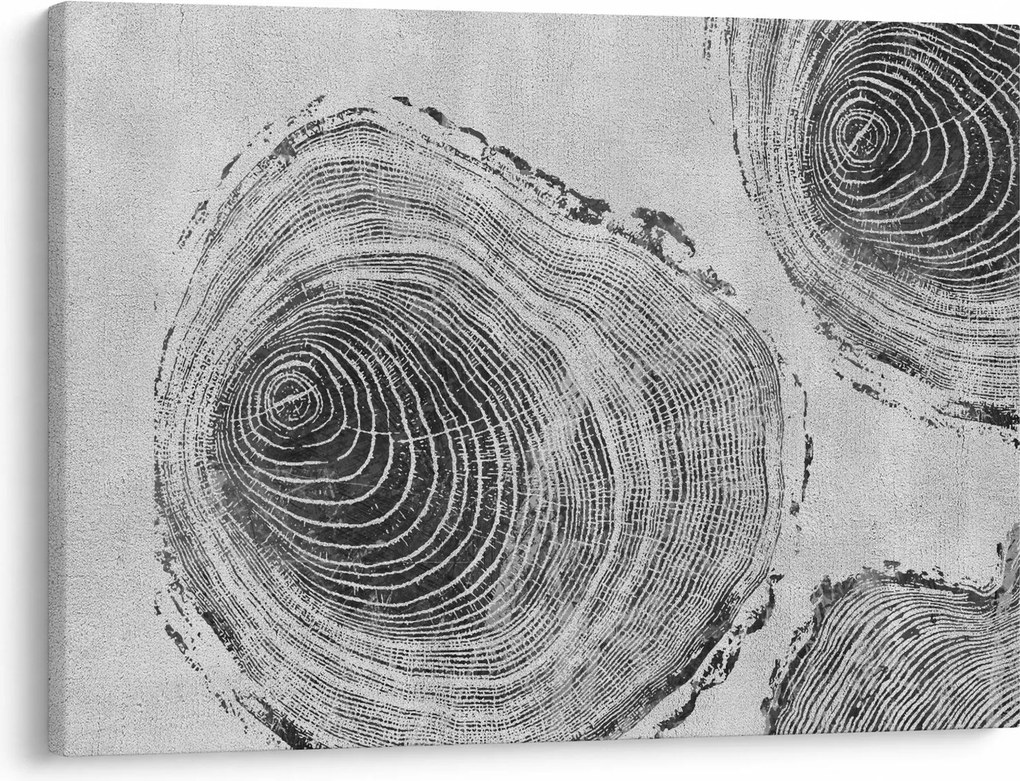 Obraz - Motyw drzewa (70x50 cm)