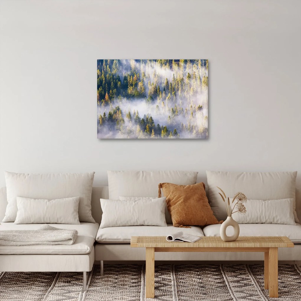 Obraz drzew we mgle (70x50 cm)