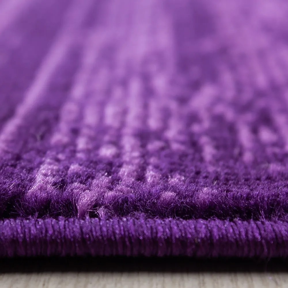 Ciemnofioletowy dywan 140x200 cm Plus – Ayyildiz Carpets