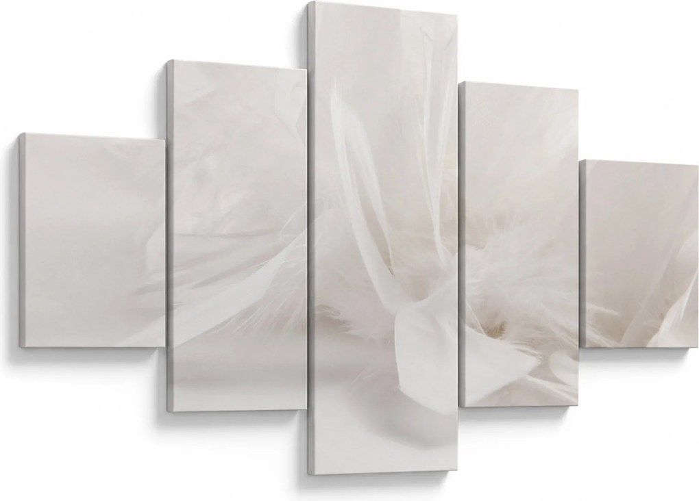 Obraz - Pióro (125x70 cm)