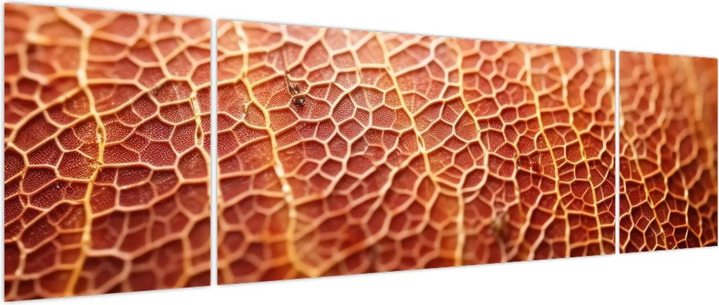 Obraz - Szczegóły tekstury (170x50 cm)