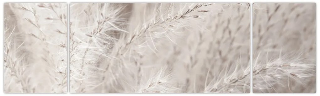 Obraz - Szczegół (170x50 cm)