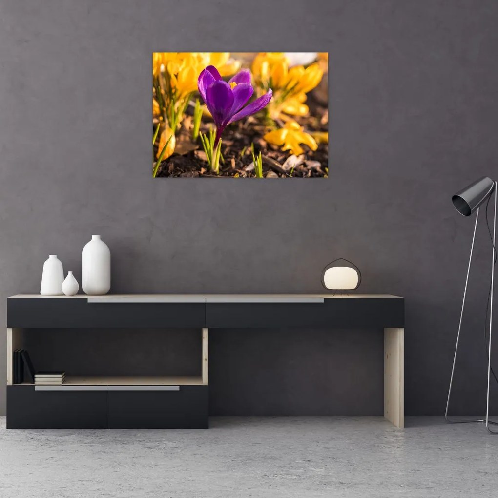 Obraz na szkle - fioletowy kwiat (70x50 cm)