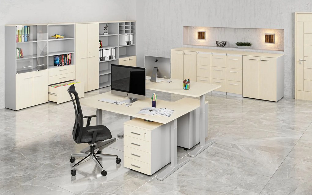 Szafa biurowa z drzwiami niskimi PRIMO GRAY, 800 x 500 x 1781 mm, szary/brzoza