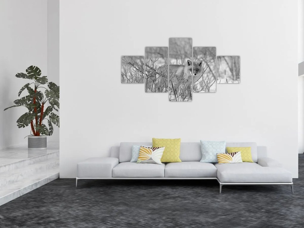 Obraz - Lis, czarno - biały (125x70 cm)