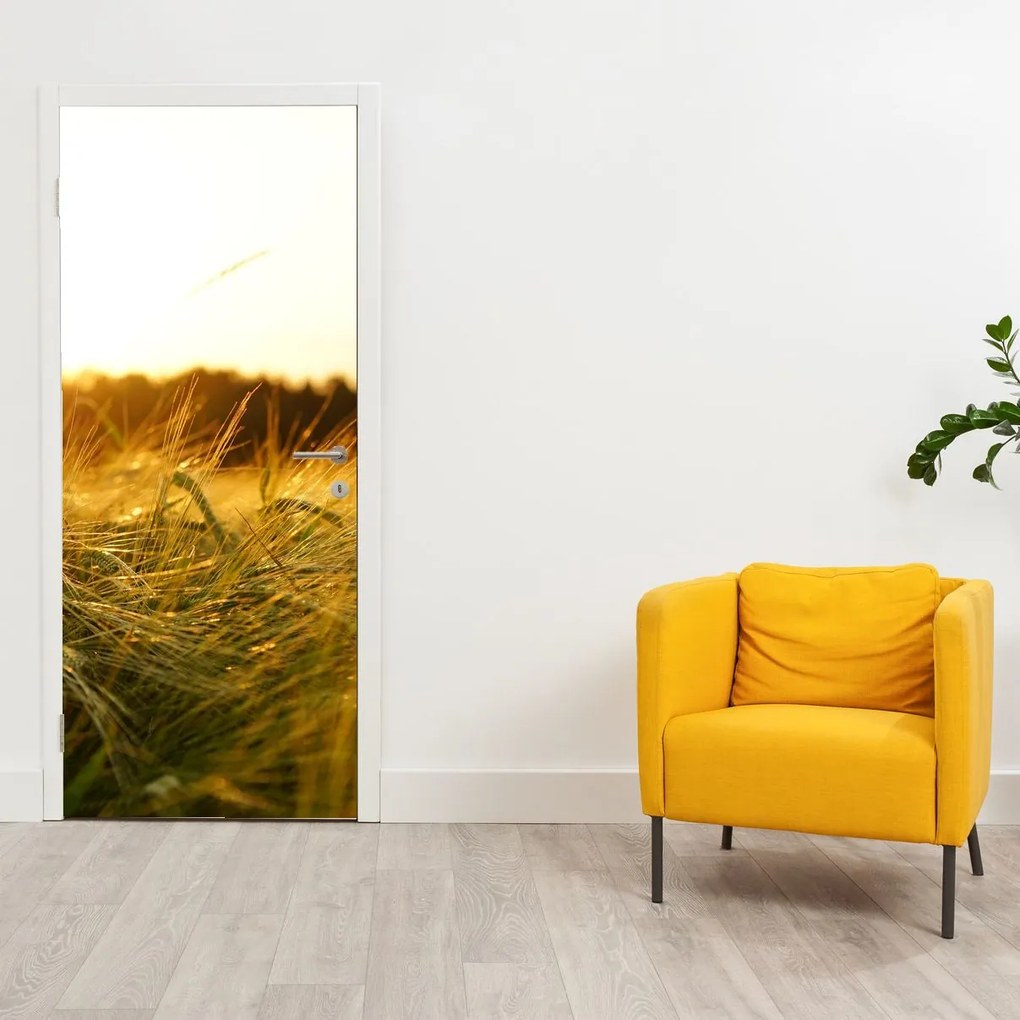 Fototapeta na drzwi - Rosa na trawie (95x205cm)