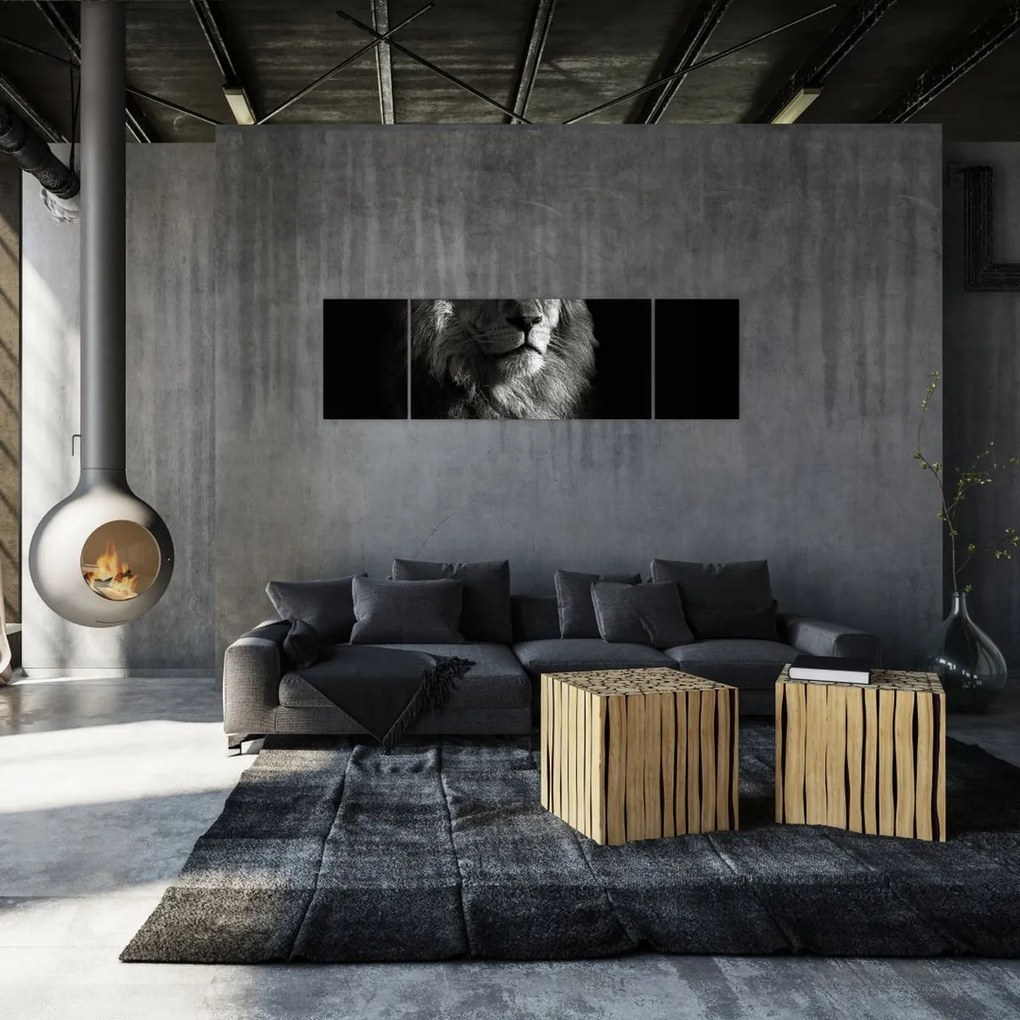 Obraz - Lew (170x50 cm)