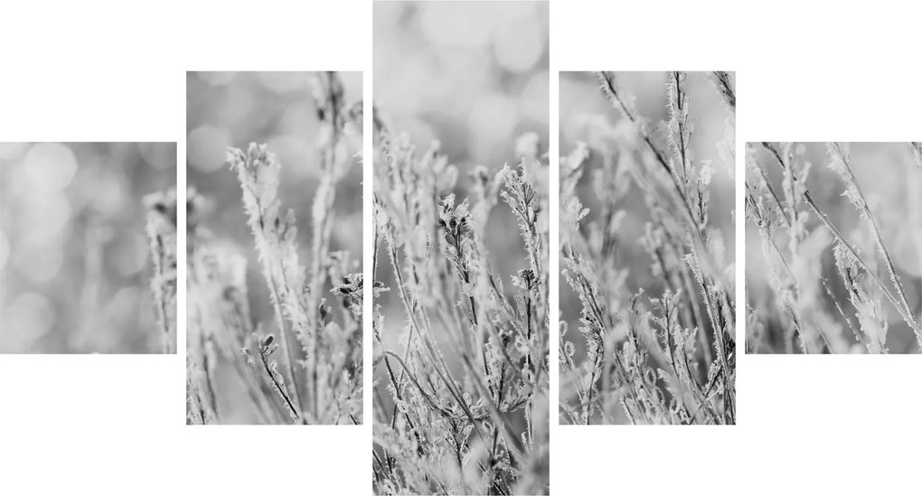 Obraz - Mroźna zima (125x70 cm)