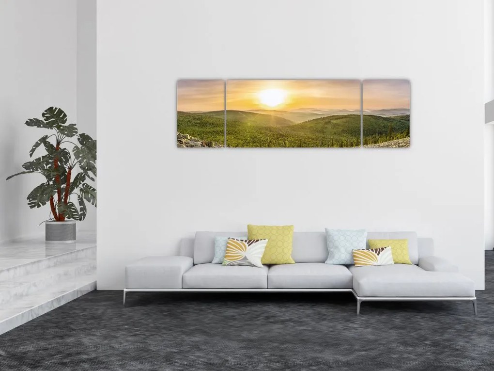 Obraz panoramiczny (170x50 cm)