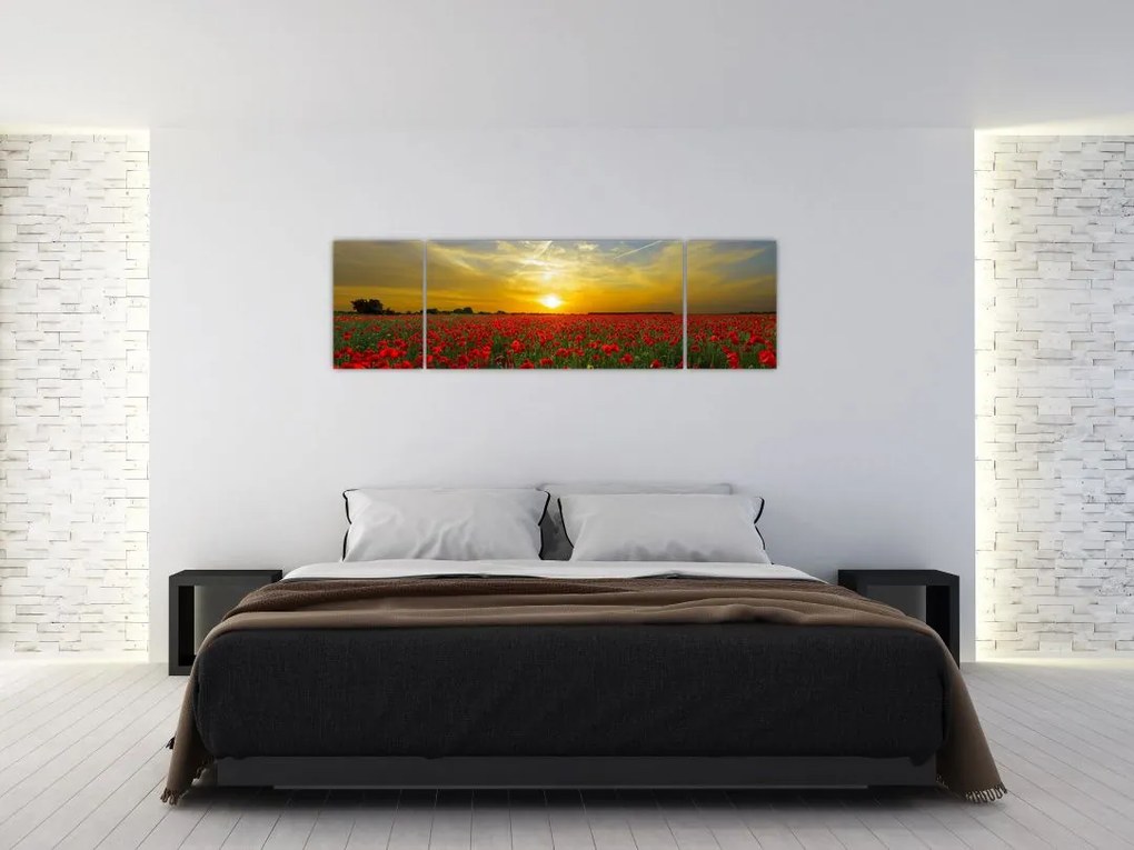 Obraz pola maków (170x50 cm)