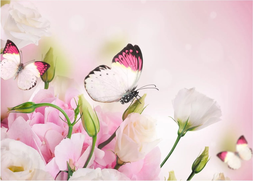 Obraz - Motyl (70x50 cm)