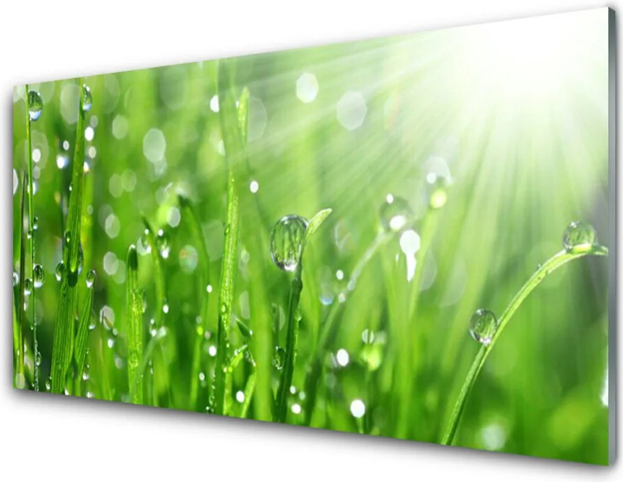 Panel Szklany Krople Rosy na Trawie