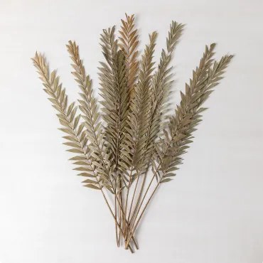 Pakiet 10 Suchych Gałązek Dekoracyjnych Sarat Bamboo Green - Sklum