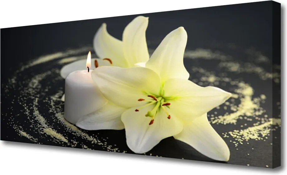 Obraz canvas Piękno Polnego Kwiatu