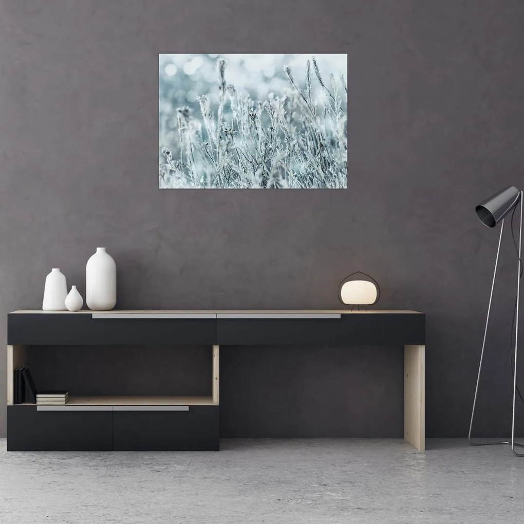 Obraz - Magia zimy (70x50 cm)