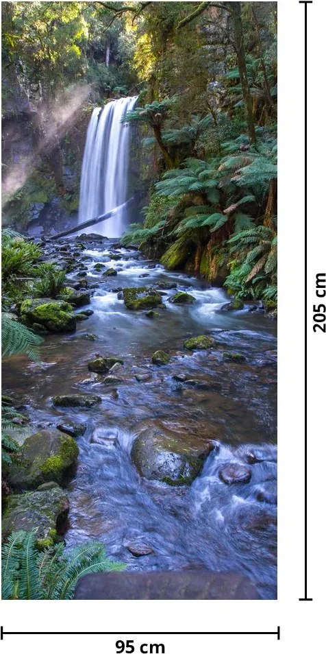 Fototapeta do drzwi - Australijski las deszczowy (95x205cm)