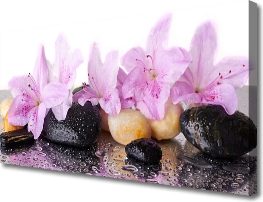 Duży obraz na płótnie Szlachetna Różowa Lilia