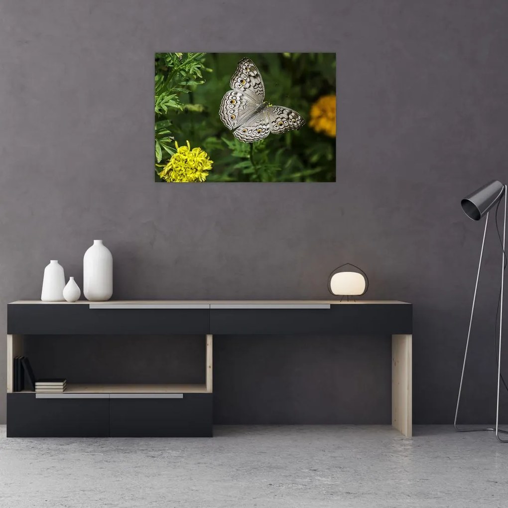 Obraz na szkle - biały motyl (70x50 cm)