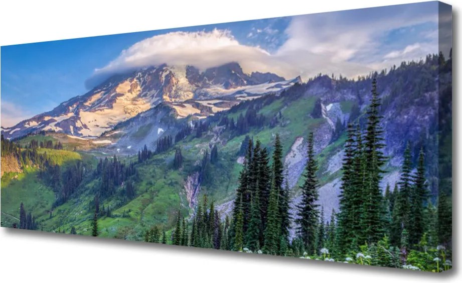 Obraz canvas na ścianę Panorama Górskiego Boru