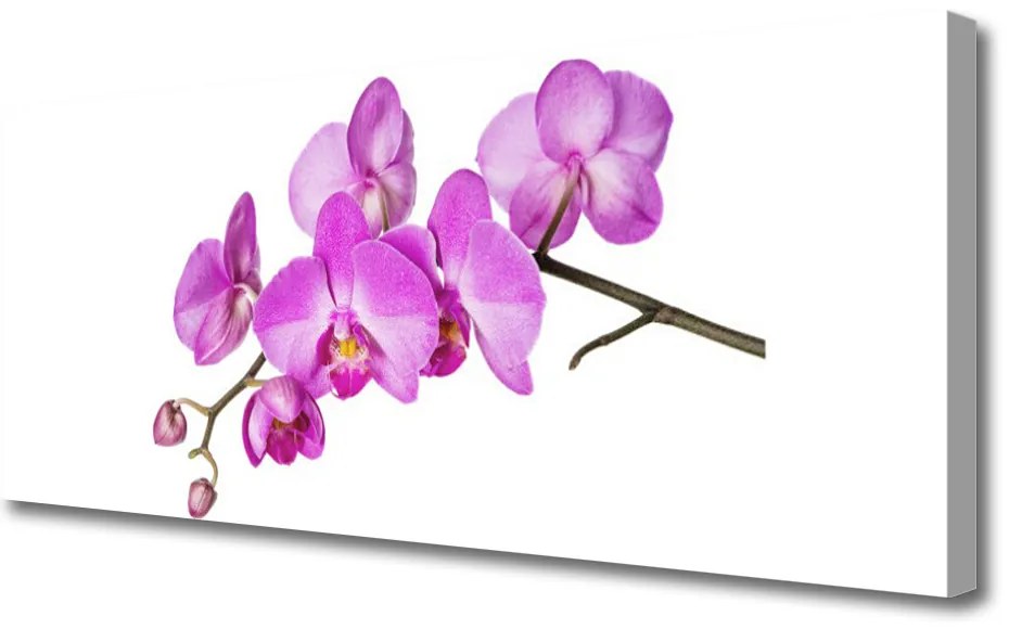 Obraz Canvas Storczyk Orchidea Kwiaty