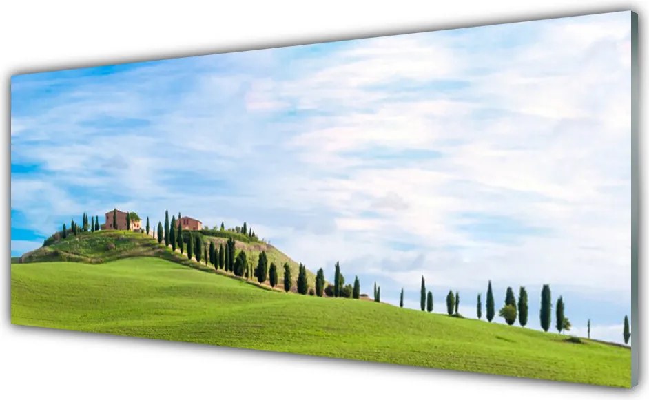 Panel nad blat kuchenny Samotne Drzewo na Polanie