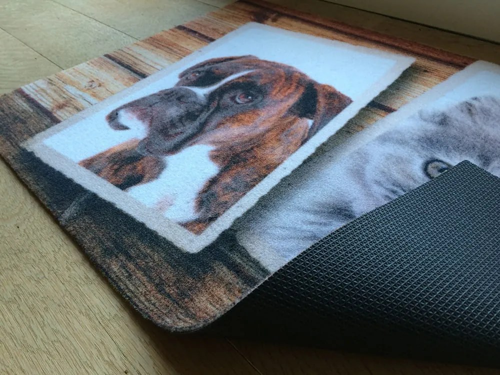 Wycieraczka Deco Star Album 50 cm x 80 cm