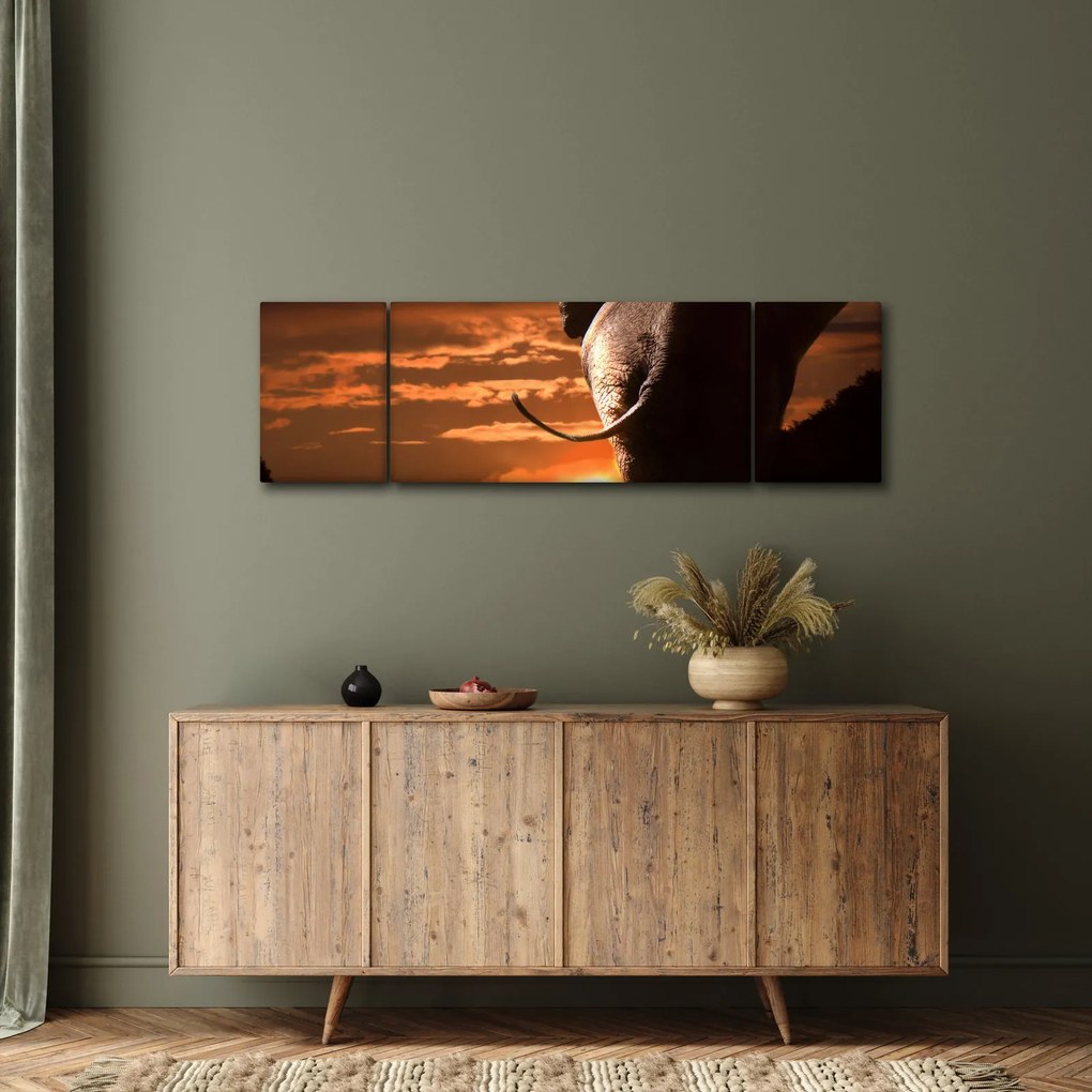 Obraz słonia (170x50 cm)