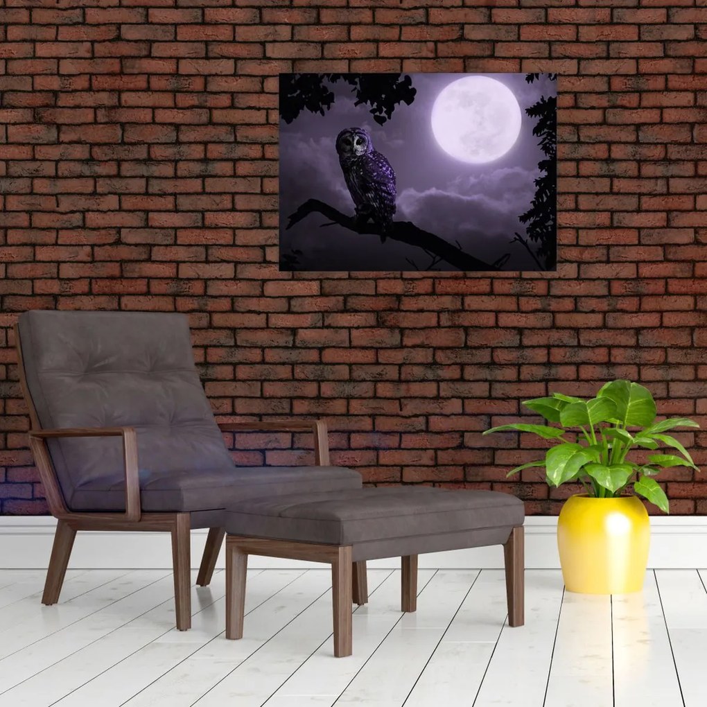Obraz na szkle - Nocna sowa, fioletowy (70x50 cm)