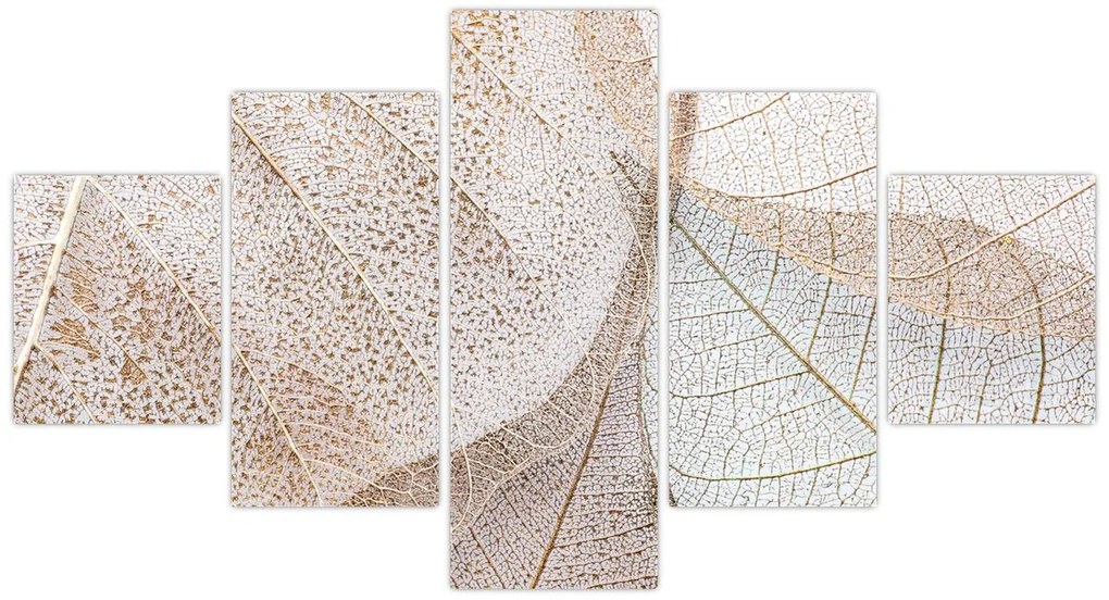 Obraz - Beżowe liście (125x70 cm)