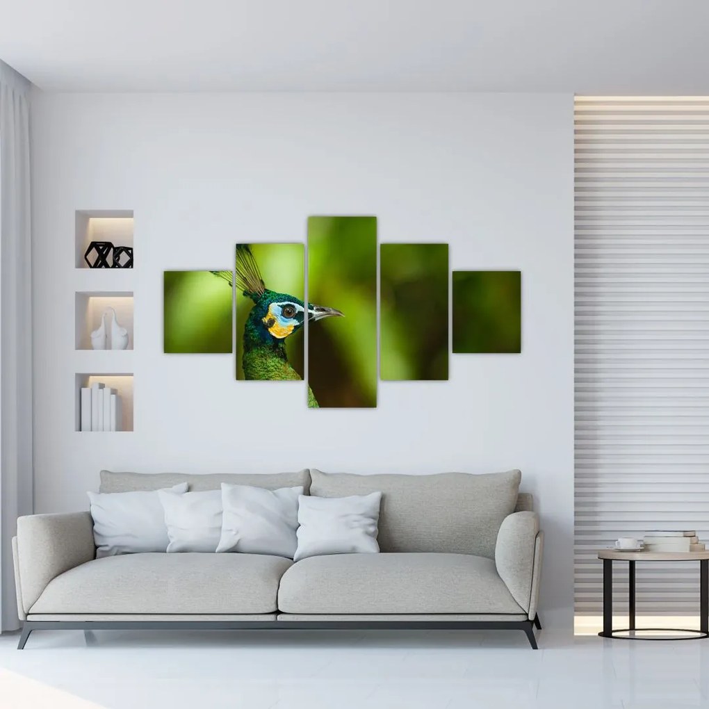 Obraz pawia (125x70 cm)