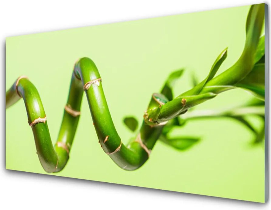 Szkło do Kuchni na Ścianę Świeże Pędy Zielonego Bambusa