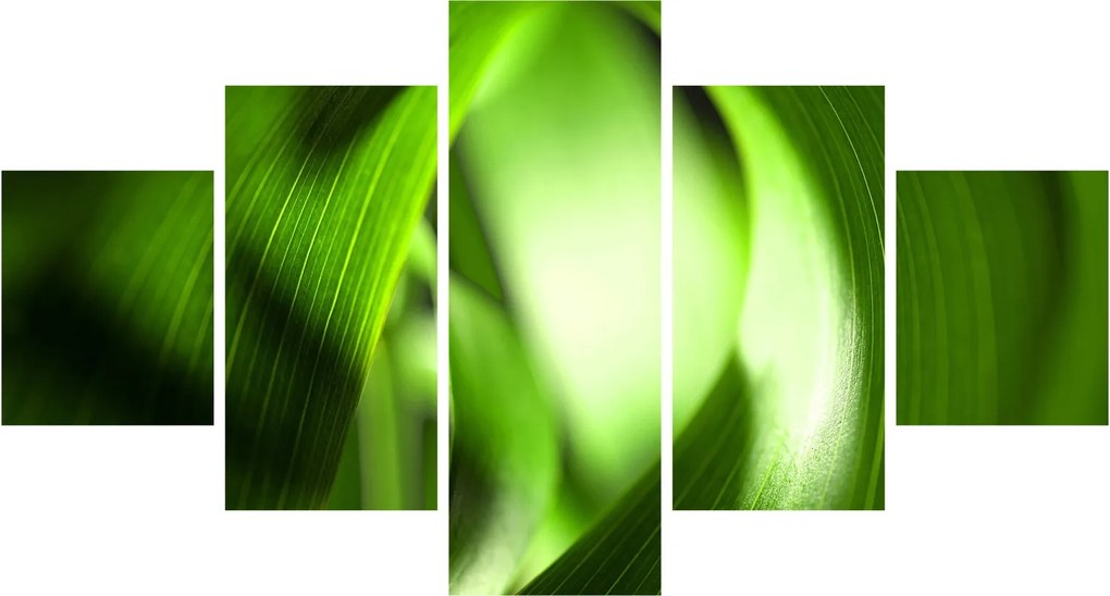 Obraz - Źdźbło trawy (125x70 cm)