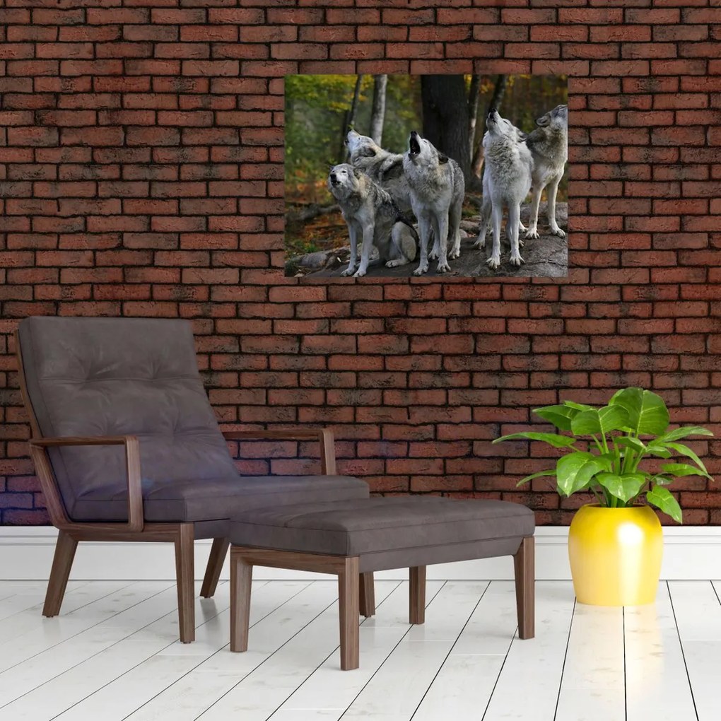 Obraz - Wilki na skale (70x50 cm)