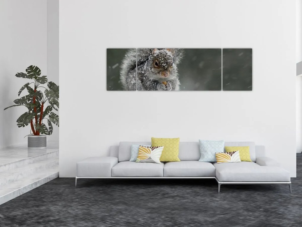 Obraz - Wiewiórka zimą (170x50 cm)