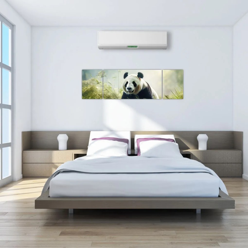 Obraz - Panda (170x50 cm)