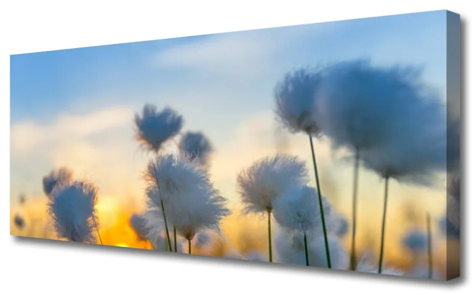 Obraz Canvas Kwiaty Roślina Natura