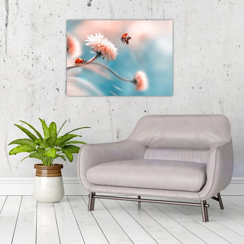 Obraz - Biedronka na kwiatku (70x50 cm)