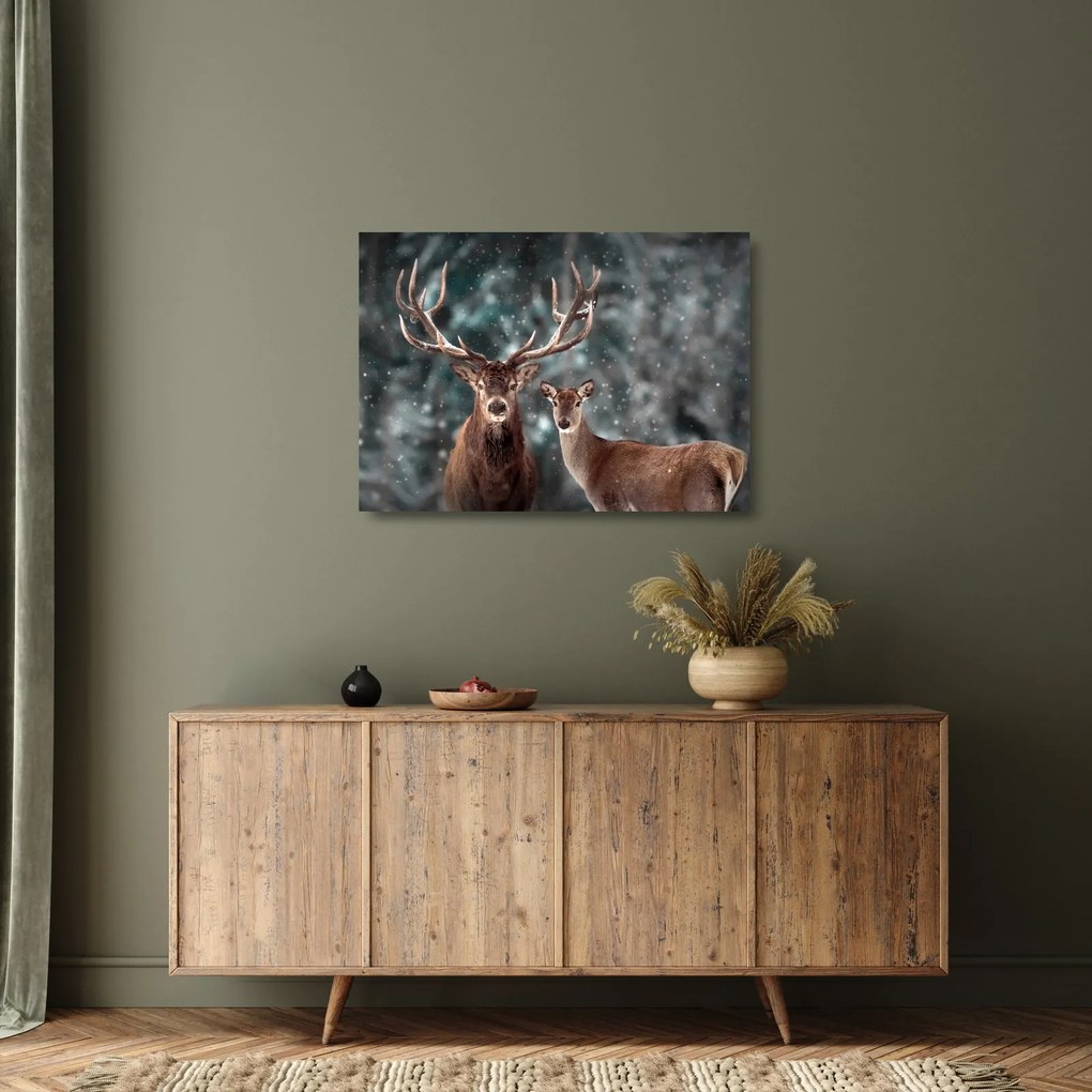 Obraz na szkle - Jeleń i łania w zaśnieżonym lesie (70x50 cm)