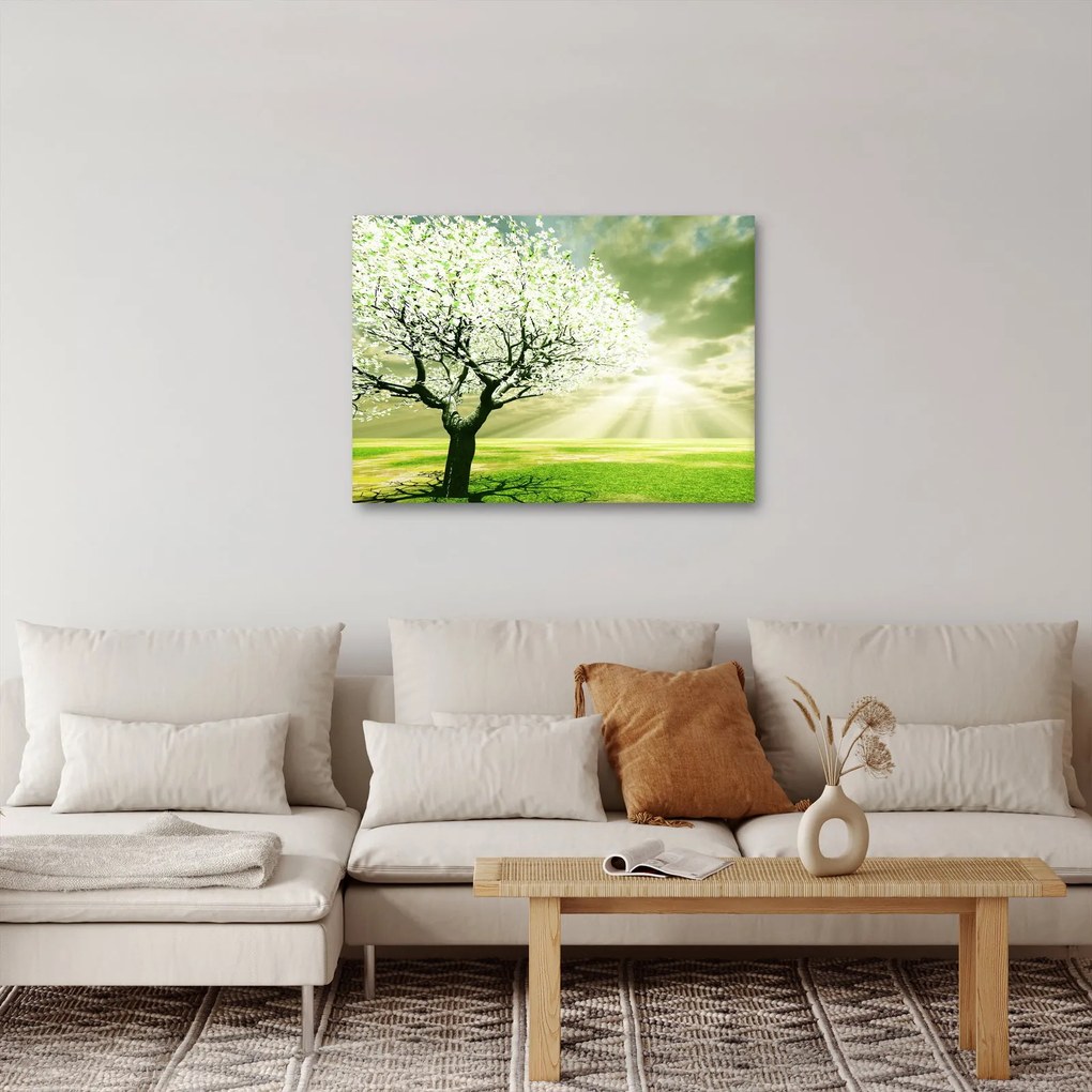 Obraz drzewa na łące (70x50 cm)