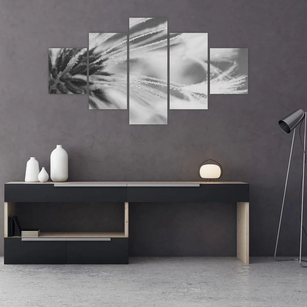 Obraz - Mlecz (125x70 cm)