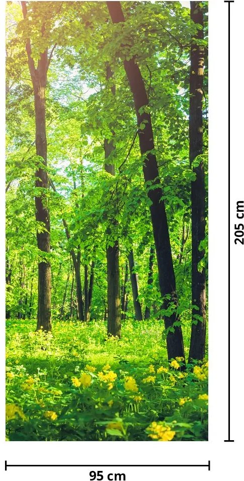 Fototapeta na drzwi - Wiosenny las liściasty (95x205cm)