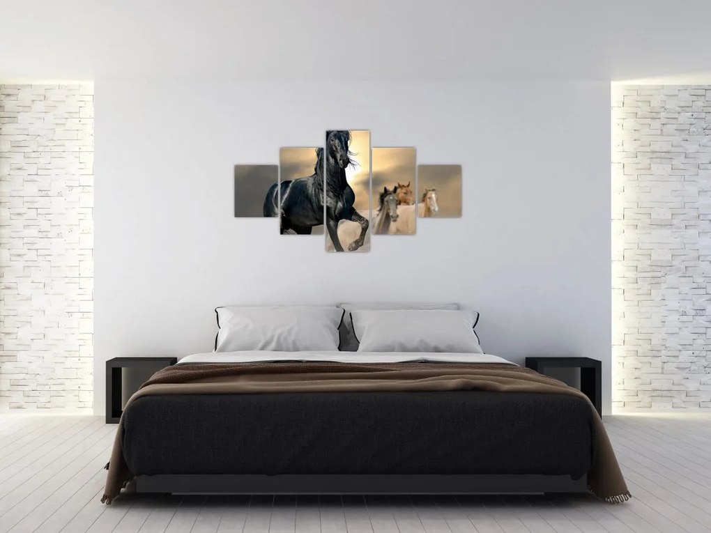 Obraz - Konie (125x70 cm)