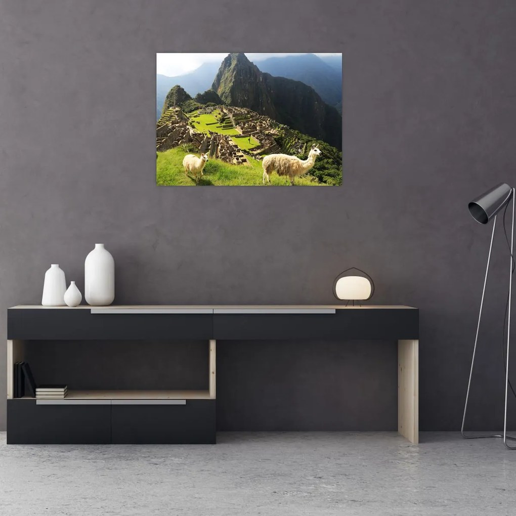 Obraz na szkle - Machu Picchu (70x50 cm)