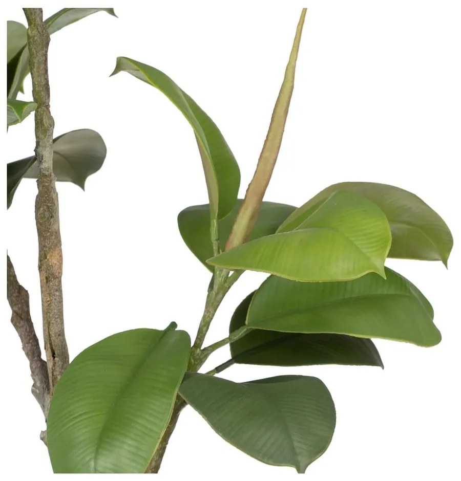 Sztuczna roślina (wysokość 116 cm) Oak Tree – Ixia
