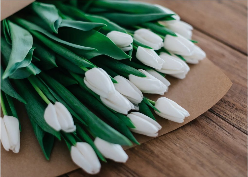 Obraz bukietu białych tulipanów (70x50 cm)