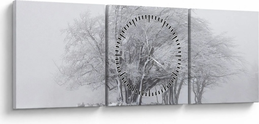 Obraz - Biała zima (z zegarem) (90x30 cm)