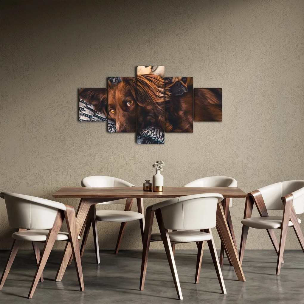 Obraz leżących psów (125x70 cm)