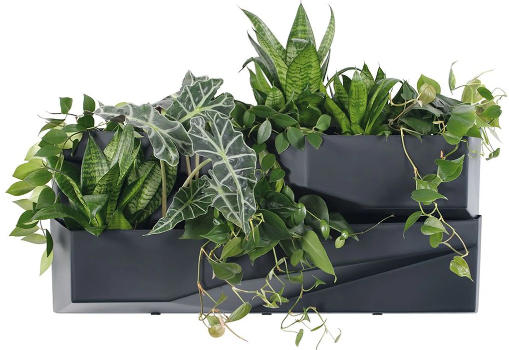Kwietnik kaskadowy Cascade Garden Wall 78 x 19 x 35 cm PROSPERPLAST