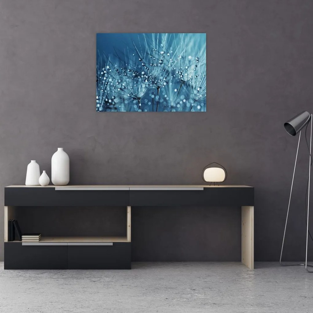 Obraz na szkle - Krople rosy (70x50 cm)